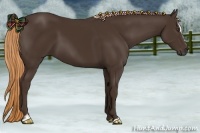 Horse Color:Liver Chestnut Sabino