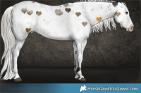 Horse Color:Silver Buckskin Mushroom Sabino 