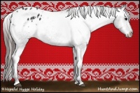 Horse Color:Black Appaloosa Rabicano 
