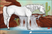 Horse Color:Liver Red Dun Chinchilla 