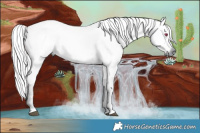 Horse Color:Liver Red Dun Chinchilla 