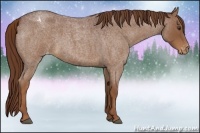 Horse Color:Red Roan Varnish 