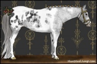 Horse Color:White Spotted Black Splash Tobiano Frame Appaloosa 