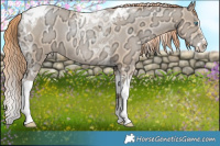 Horse Color:Amber Champagne Ice Pearl Splash Tobiano 