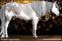 Horse Color:White Spotted Bay Splash 