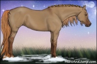 Horse Color:Red Dun 