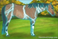 Horse Color:Thunderstruck Bay Dun 