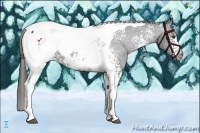 Horse Color:White Spotted Liver Chestnut Tobiano Snowcap 