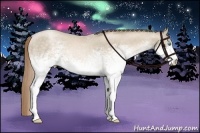 Horse Color:White Spotted Buckskin Pearl 
