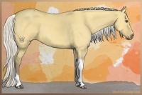 Horse Color:Silver Buckskin Dun Tobiano 