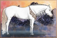 Horse Color:Liver Red Dun Pearl Splash Appaloosa Brindle  and Red Dun Roan Tobiano Appaloosa 