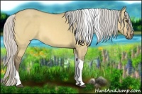 Horse Color:Silver Buckskin Dun Tobiano 