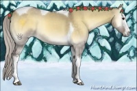 Horse Color:White Spotted Silver Buckskin Onyx Tobiano 