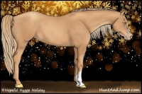 Horse Color:Gold Champagne