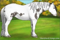Horse Color:White Spotted Smoky Black Splash Tobiano 
