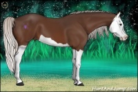 Horse Color:Silver Bay Splash 