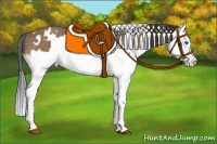 Horse Color:White Spotted Buckskin Splash 