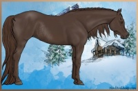 Horse Color:Liver Chestnut Rabicano 