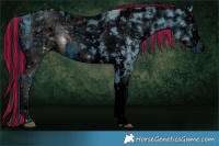 Horse Color:ERROR: UNKNOWN ANOMALY