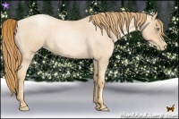 Horse Color:Gold Champagne Roan Pearl 