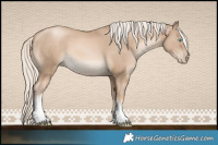 Horse Color:Chocolate Palomino Pearl Tobiano 