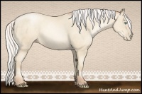 Horse Color:Silver Amber Cream Champagne Pearl 