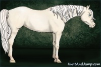Horse Color:Silver Amber Cream Champagne Pearl 