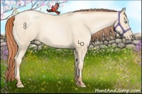 Horse Color:Sable Cream Champagne Pearl 