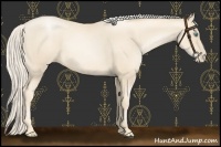 Horse Color:Gold Cream Champagne Pearl 