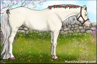 Horse Color:Silver Sable Cream Champagne Pearl Dun 