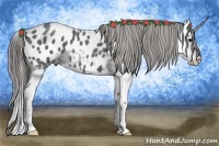 Horse Color:Blue Roan Splash Appaloosa