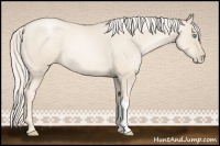 Horse Color:Gold Cream Champagne Pearl