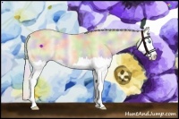 Horse Color:Nacre Cremello Splash 