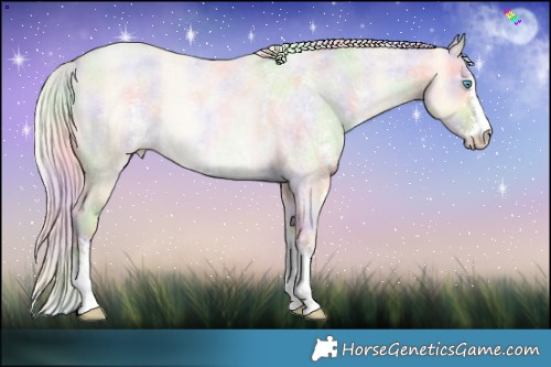 Horse Color:Nacre Palomino Roan Pearl Sabino 