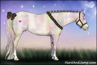 Horse Color:Nacre Palomino Roan Pearl Sabino 