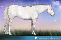 Horse Color:Nacre Palomino Roan Pearl Sabino 