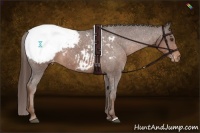 Horse Color:Liver Chestnut Snowcap 