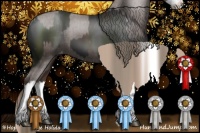 Horse Color:Liver Chestnut Sabino Tobiano Appaloosa  and Liver Chestnut Sabino Splash Appaloosa 
