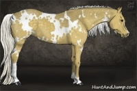 Horse Color:White Spotted Silver Smoky Black 