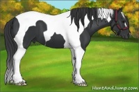 Horse Color:Black Tobiano 