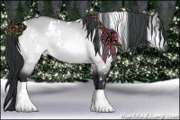 Horse Color:White Spotted Bay Chinchilla Dun 