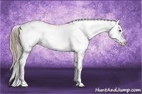 Horse Color:Liver Chestnut Sabino Splash Appaloosa  and Liver Chestnut Sabino Splash Appaloosa 