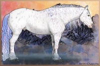 Horse Color:Watercolor White Spotted Liver Red Dun Splash Blanket  and Watercolor White Spotted Liver Red Dun Blanket Rabicano 
