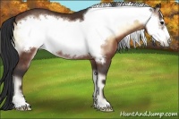 Horse Color:Brown Onyx Frame