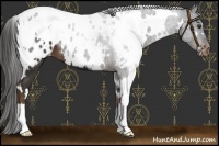 Horse Color:White Spotted Liver Chestnut Blanket 