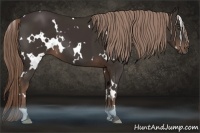 Horse Color:White Spotted Liver Chestnut 