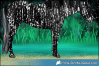 Horse Color:Liver Chestnut Sabino Splash Appaloosa  and ERROR: UNKNOWN ANOMALY