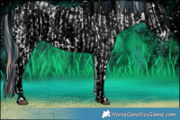 Horse Color:Liver Chestnut Sabino Splash Appaloosa  and ERROR: UNKNOWN ANOMALY