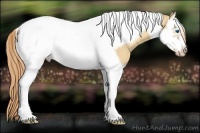 Horse Color:Gold Champagne Dun Splash Tobiano Frame 