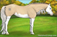 Horse Color:Silver Classic Cream Champagne Splash 